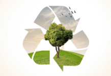 Upcycling-Ideen: Kreative Wege, alte Dinge sinnvoll weiterzuverwenden